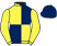 Think Big Partnership: Yellow and dark blue (quartered), yellow sleeves, dark blue cap