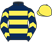 Mr B. Smart: Dark blue, yellow hoops, chevrons on sleeves, yellow cap