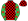 Red Black Checks Green Sleeves Red Stars Red & Black Checked Cap