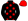 Black Red Stars & Cap