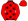 Red Black Stars