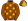 Brown Gold Stars Quartered Cap
