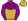 Gold Purple Yoke Purple Sleeves With Gold Seams Collar & Cuffs Gold Cap With Purple Seams