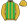 Gold Green Stripes
