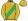 Gold Green Sash Gold Cap