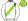 White Green & Yellow Checked Sash & Cap