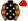 Black Gold Stars Red & Green Hooped Sleeves Red Cap