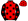 Red Black Stars Black Sleeves With Red Stars Red Cap With Black Stars