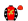 Red Gold Bird Of Paradise Flower Black Sleeves White Stars Red Cap Gold Stars