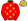 Red Gold Stars & Cap