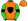Orange Black Shield Lime Green Sleeves Black Armbands & Cuffs Orange Cap